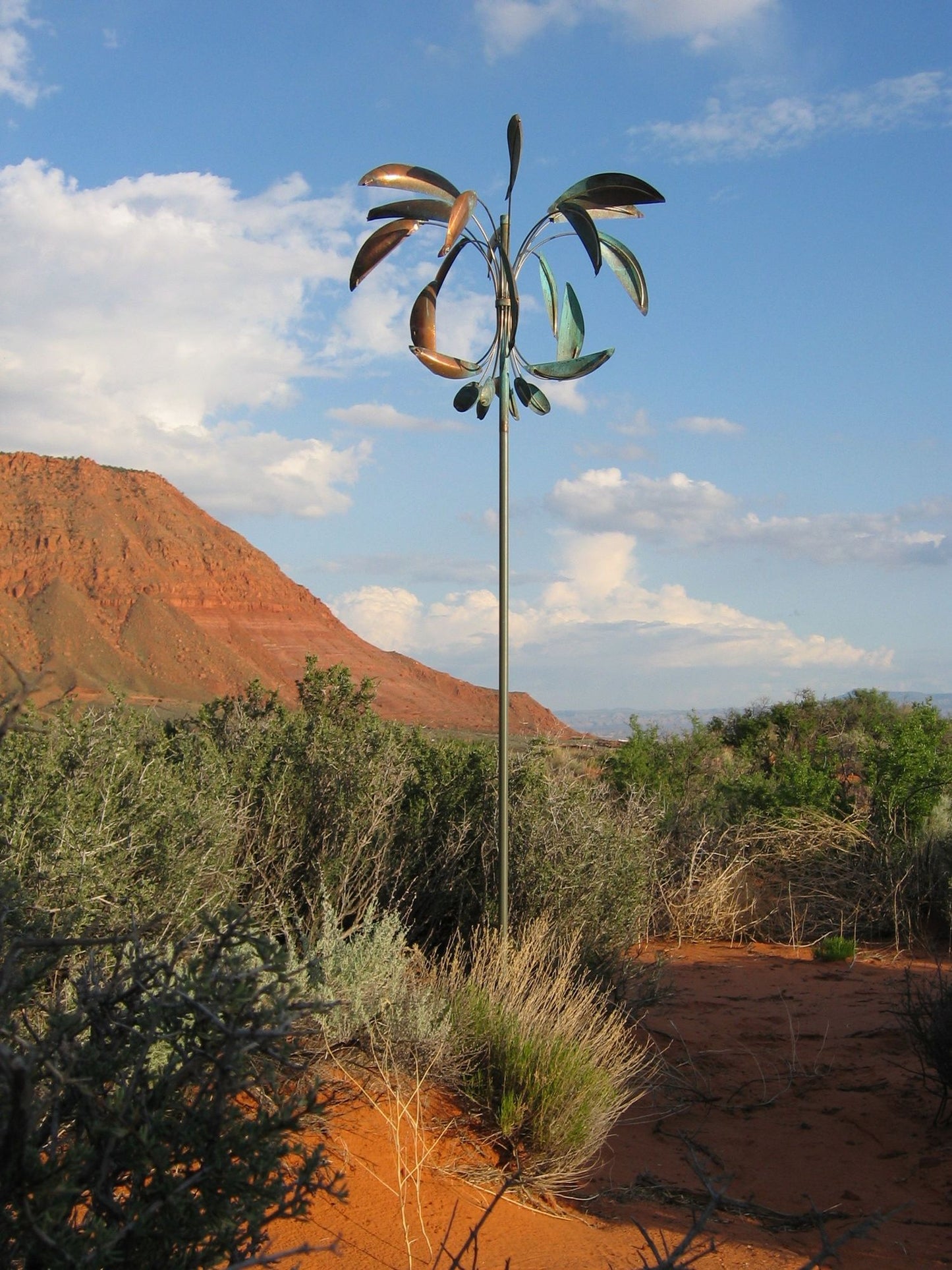 Desert Palm