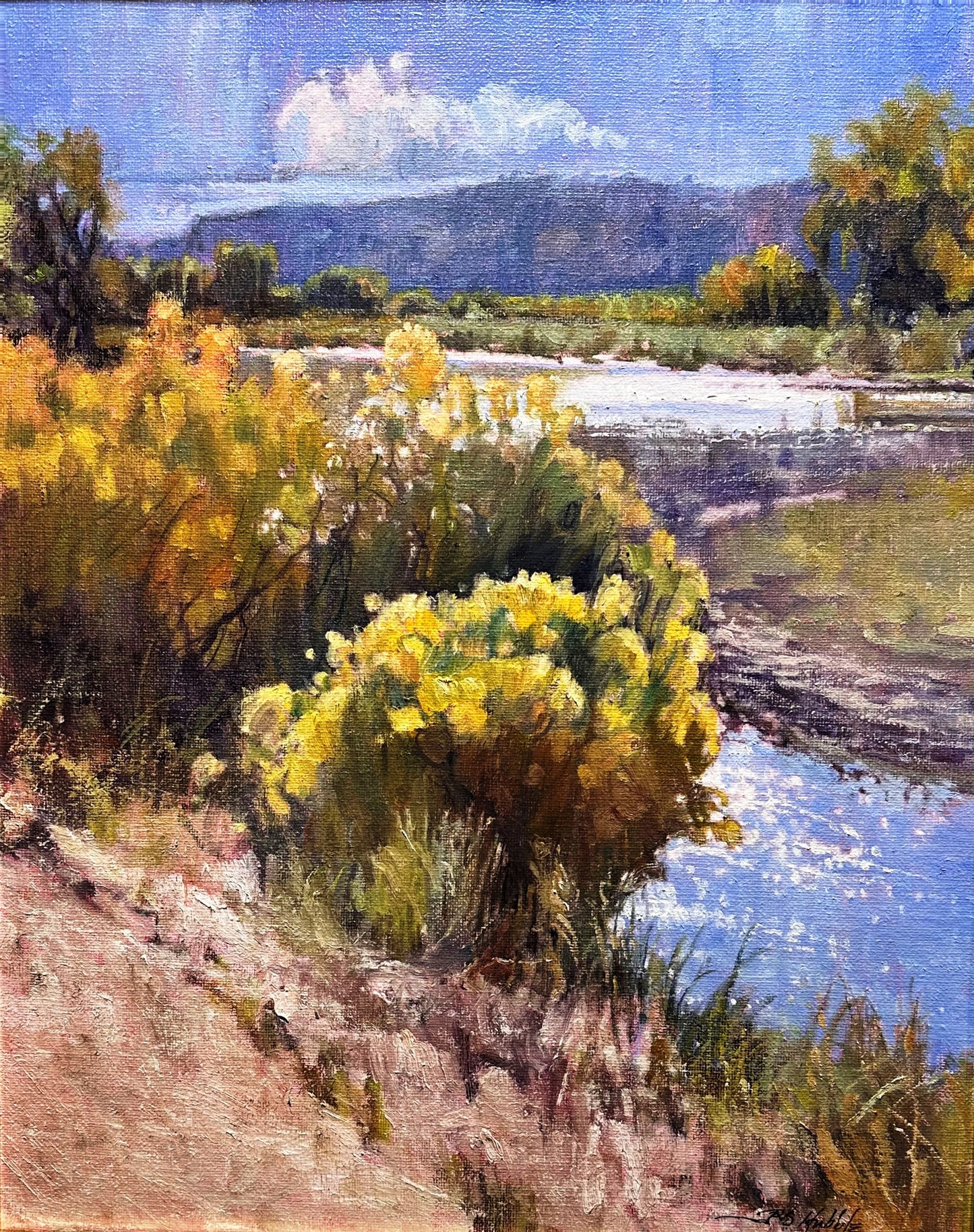 Chamisa En El Rio De San Juan | 20" x 16"