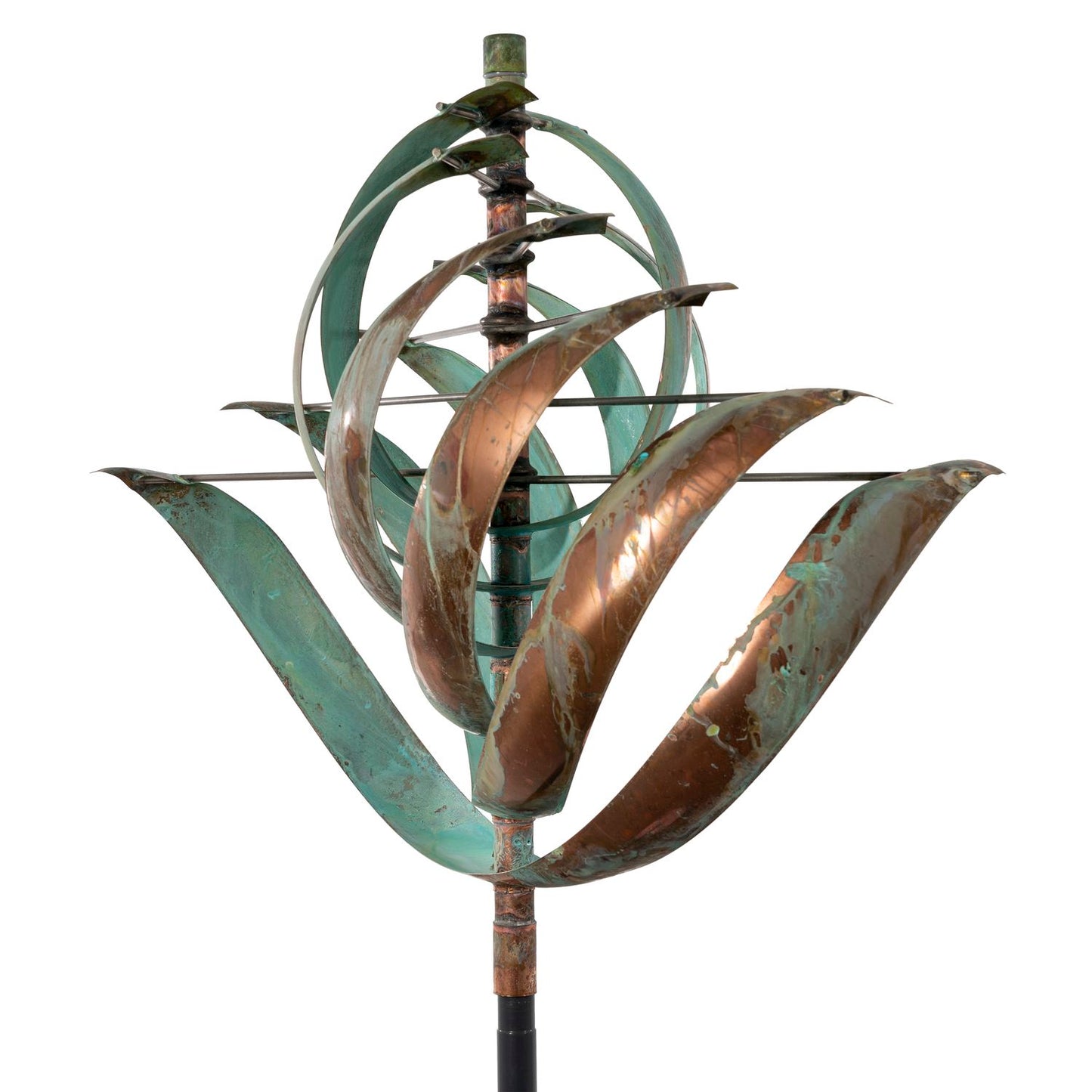 Nautilus (20572)