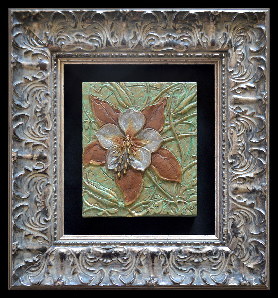 JEREMIAH DANIEL WELSH - Plant Collection