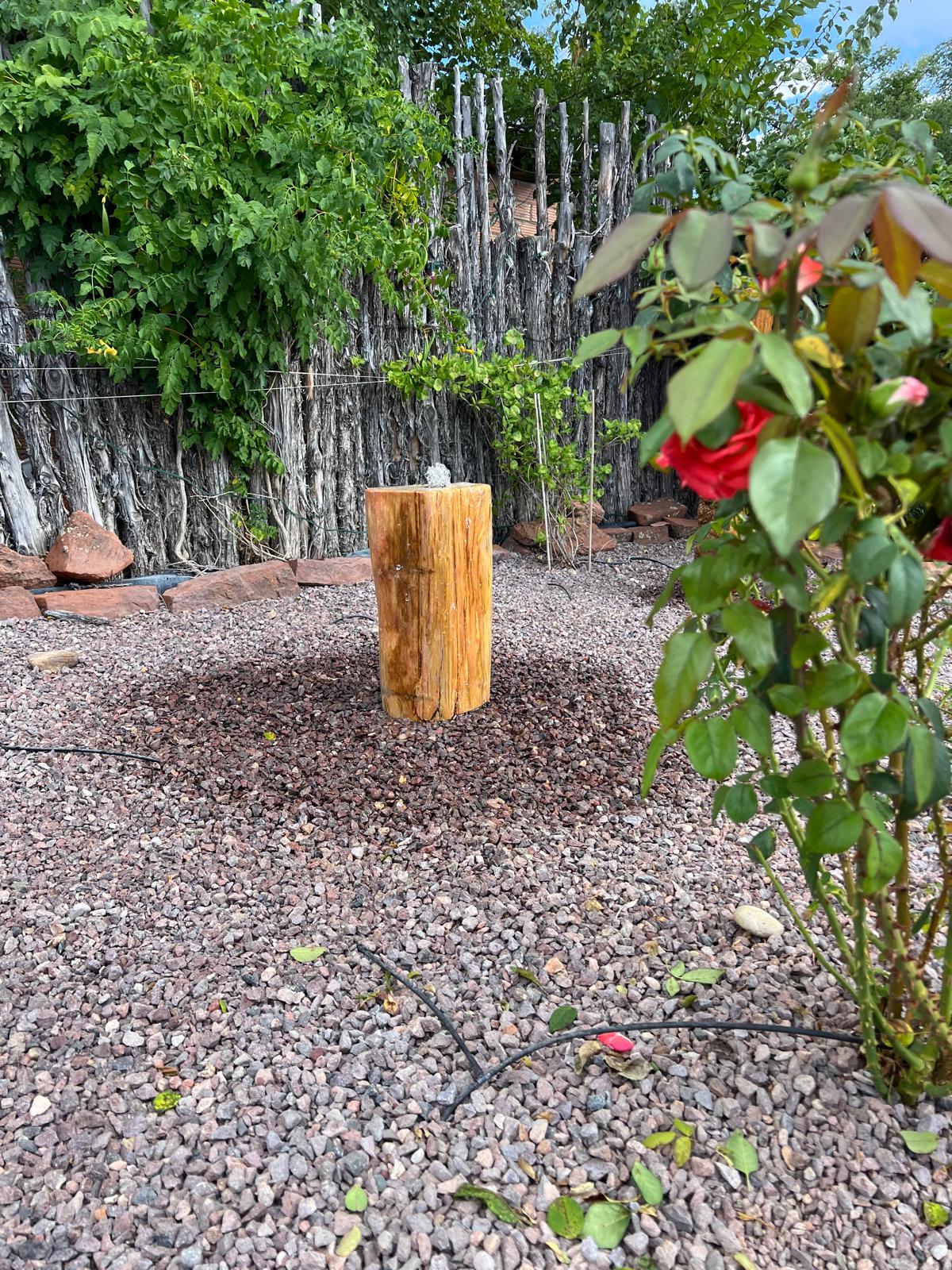 Hard as a Rock |  20" x 11" x 7"