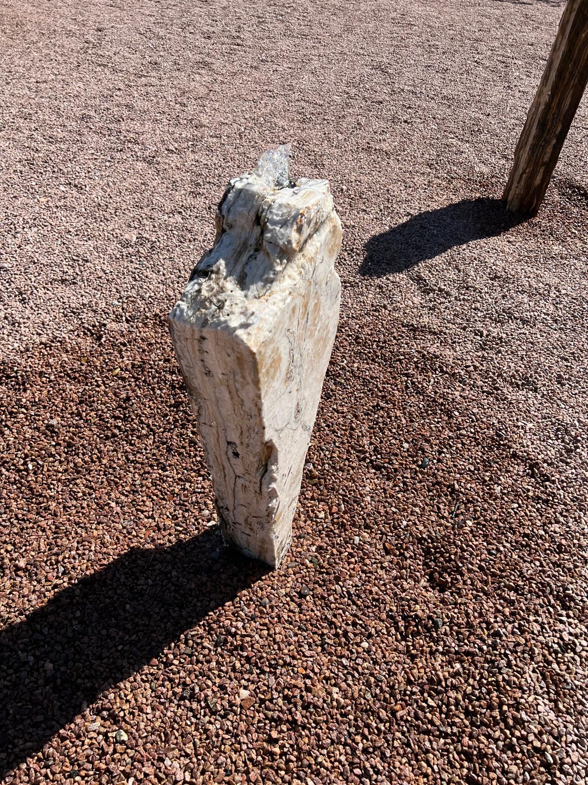 Salt and Pepper | 33" x 16" x 6"