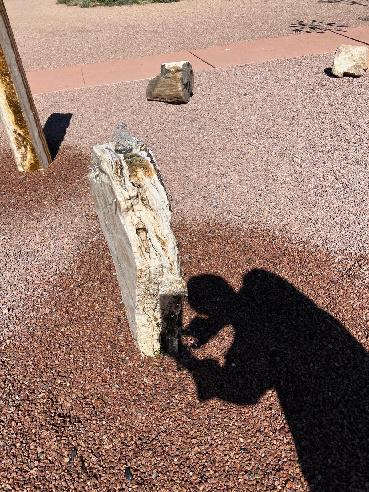 Salt and Pepper | 33" x 16" x 6"