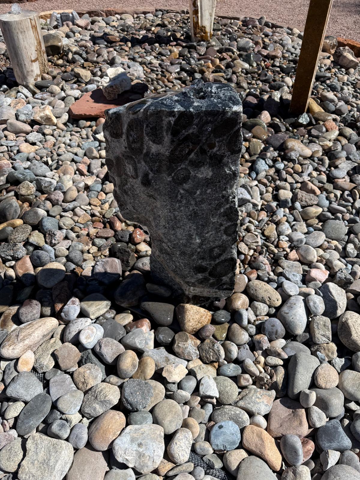 Ancient Spots | 14" x 31" x 6"