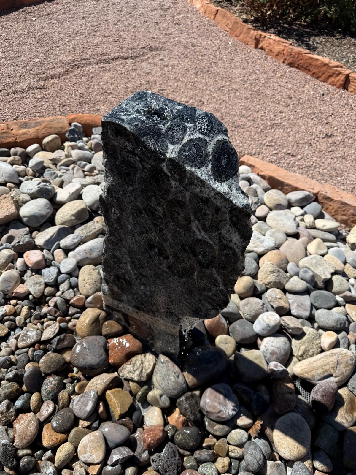 Ancient Spots | 14" x 31" x 6"