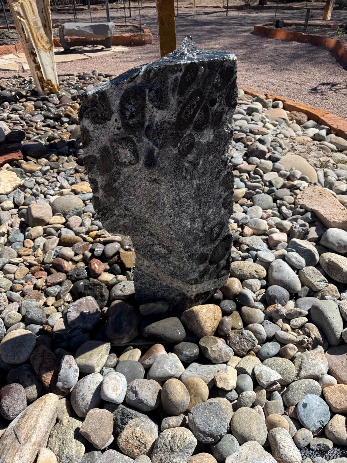 Ancient Spots | 14" x 31" x 6"