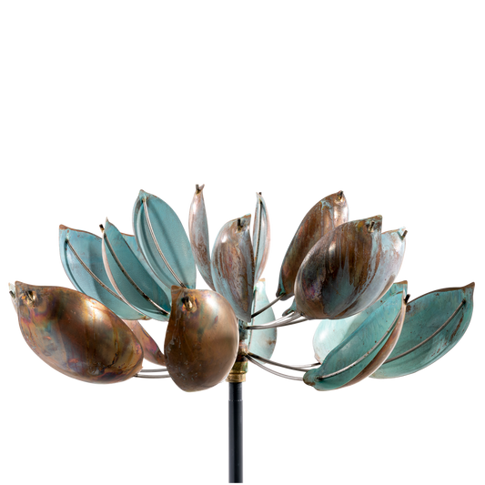 Lotus X-Large (20568)